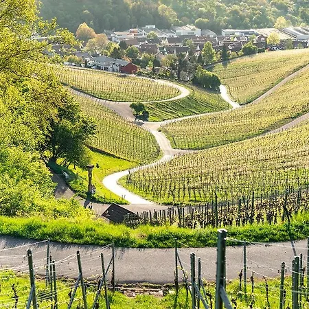 - Original Weinstadt