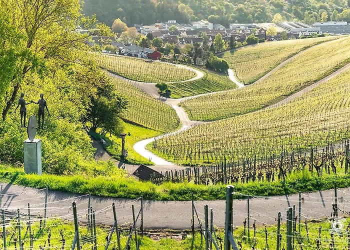 - Original ヴァインシュタット